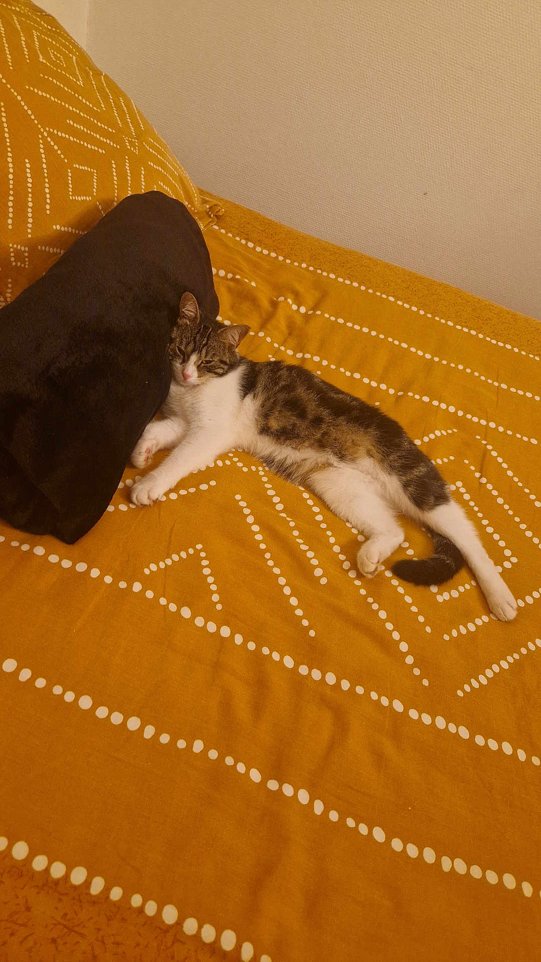 Tina