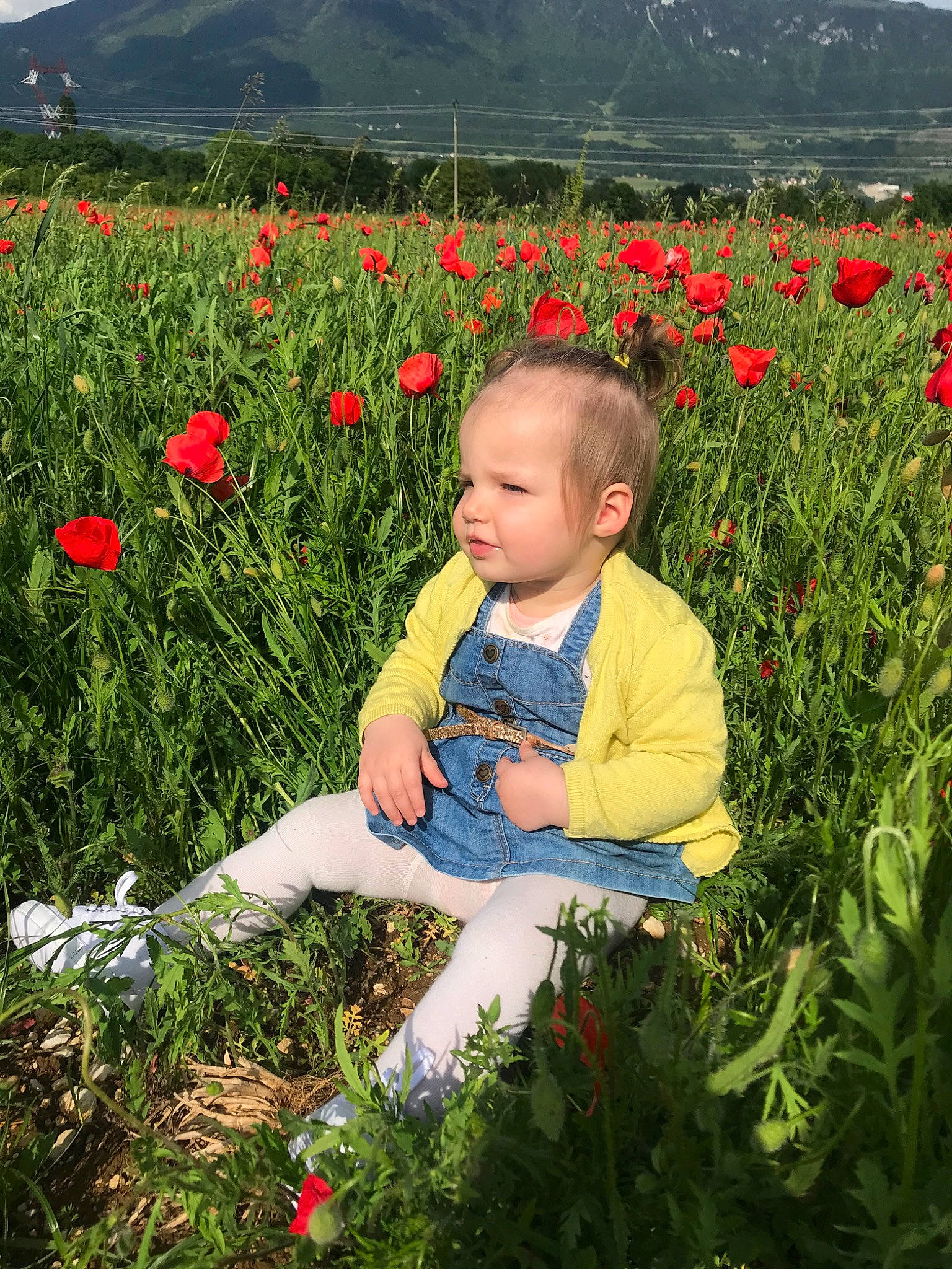 Calie a rejoint le concours — aidez-le/la à gagner de superbes lots ! child, coquelicot, flower, flowering_plant, meadow, perennial_plant, person, plant, spring, wildflower