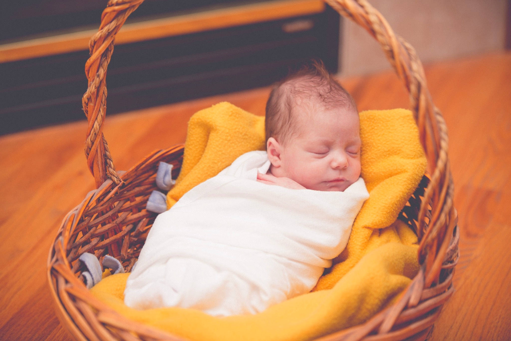 Rex joined the competition — help win amazing prizes! baby, baby_products, baby_safety, baby_sleeping, basket, bed, child, comfort, furniture, infant_bed, person, product, skin, sleep, toddler, wicker, yellow
