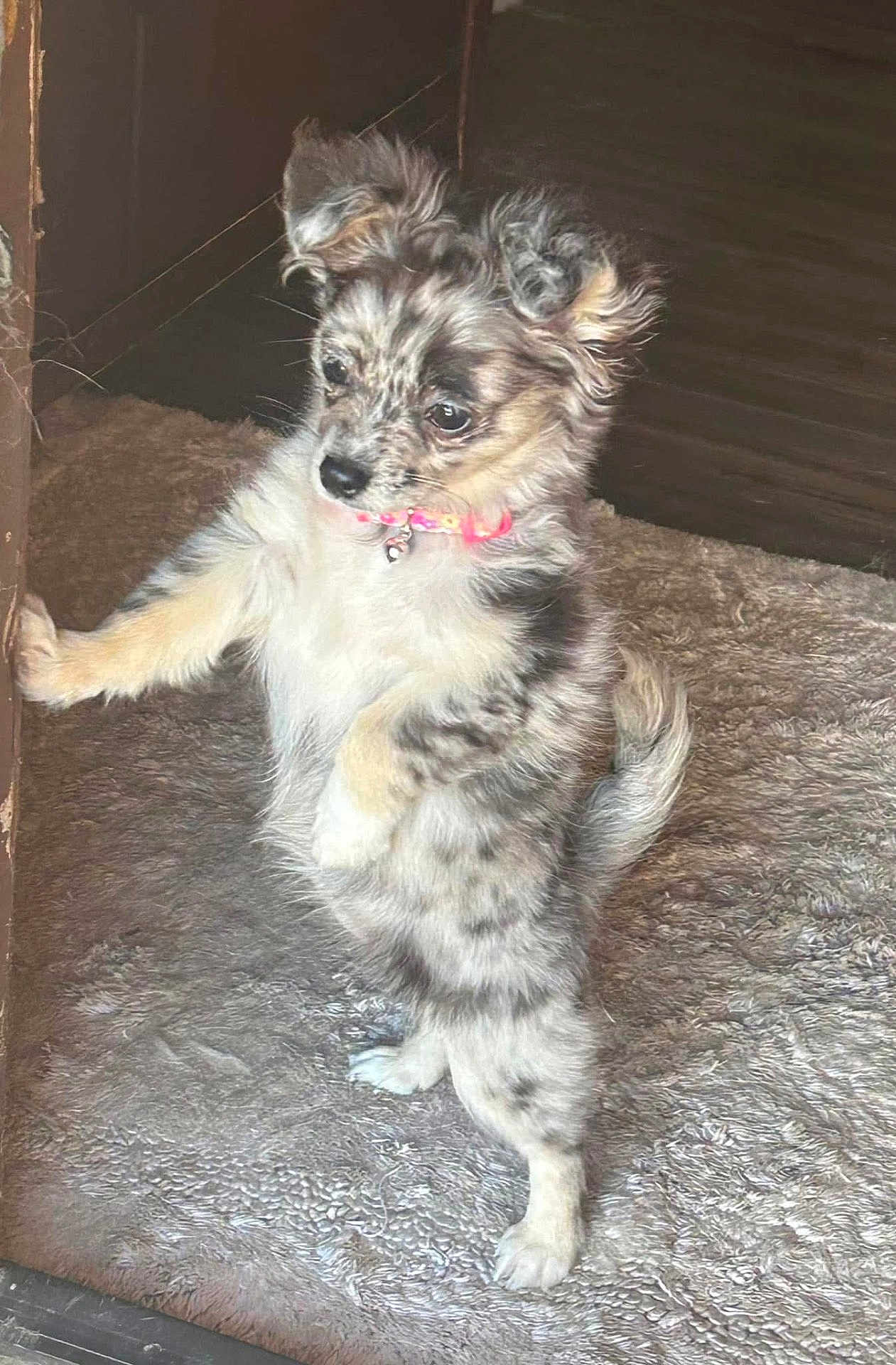 Sophie