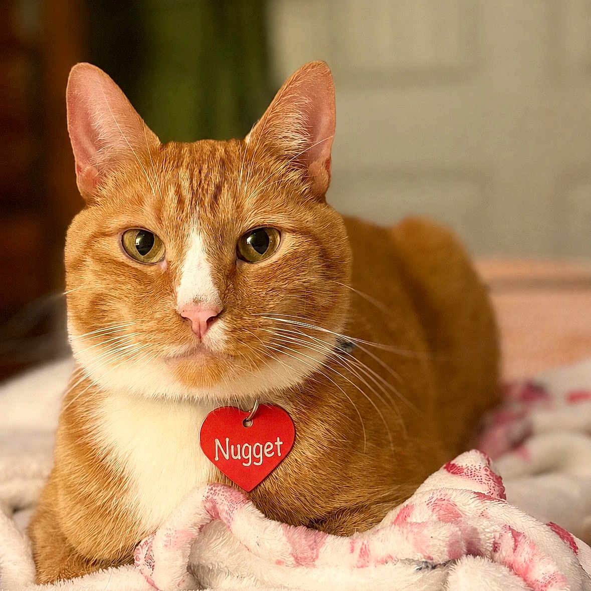 Nugget