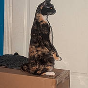 Birdie joined the competition — help win amazing prizes! cat, tortoiseshell_cat, animal, pet, sitting, upright, profile, orange_eyes, whiskers, ears, fur, multicolored_fur, cardboard_box, indoors, door, wall, clothing, home, portrait, funny_pose