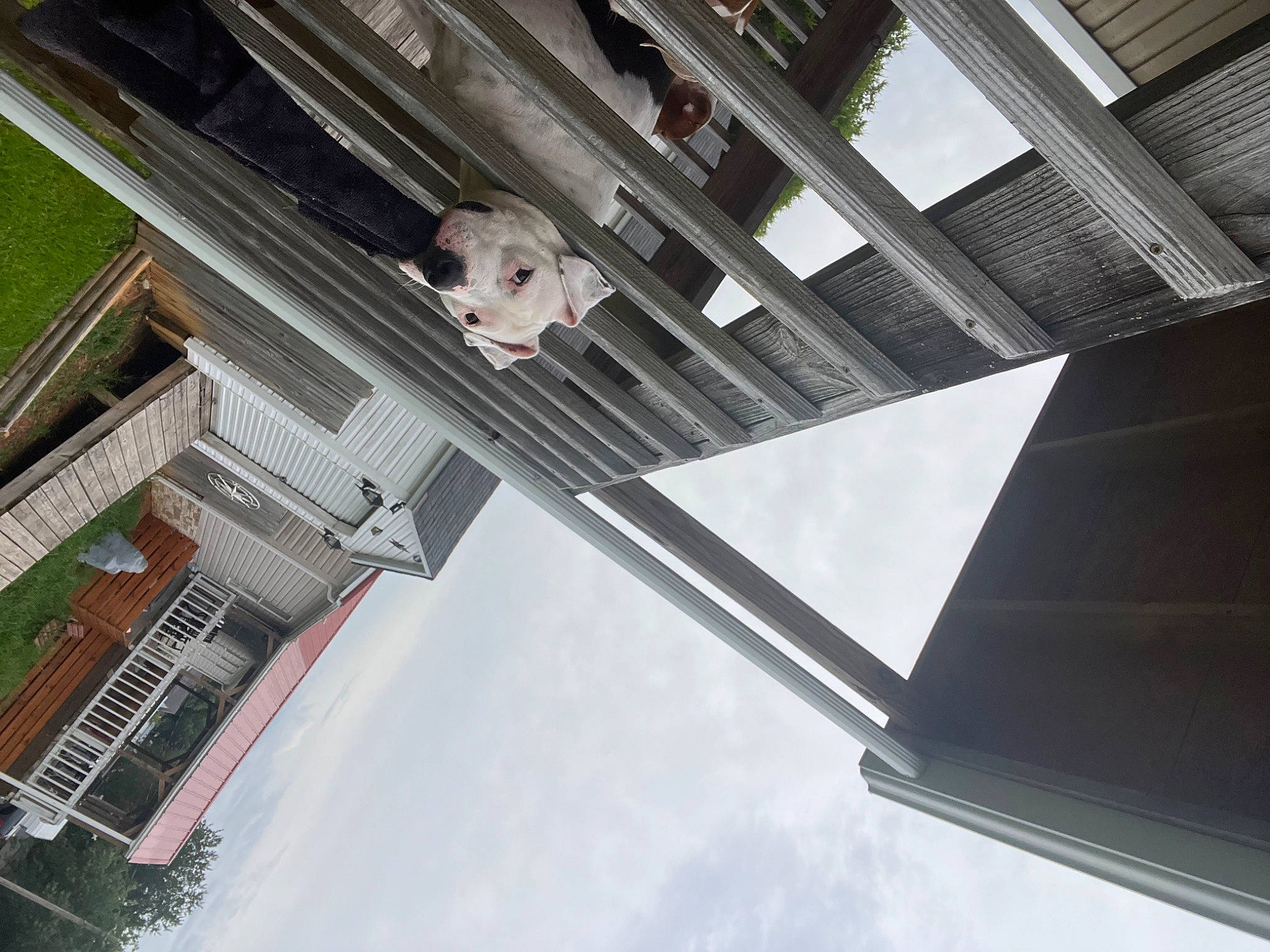 Ryley is registered to the contest to win money with this photo: building, ceiling, city, cloud, composite_material, daylighting, engineering, facade, glass, handrail, house, metal, roof, room, sky, steel, tints_and_shades, urban_design, window, wood