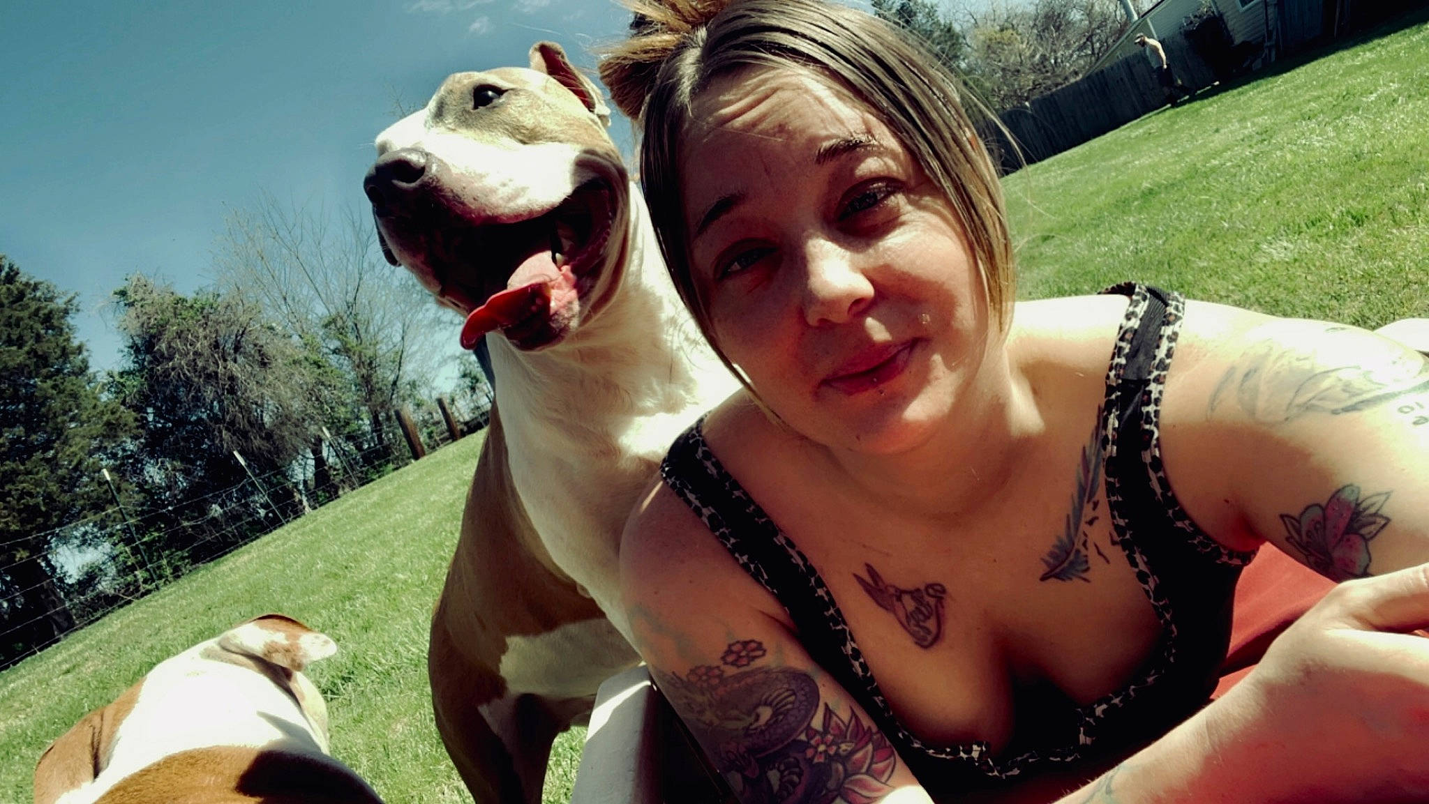 Loki is registered to the contest to win money with this photo: abdomen, chest, companion_dog, cool, event, eyewear, facial_expression, fawn, fun, gesture, grass, happy, jewellery, leisure, neck, necklace, sky, smile, tree, trunk