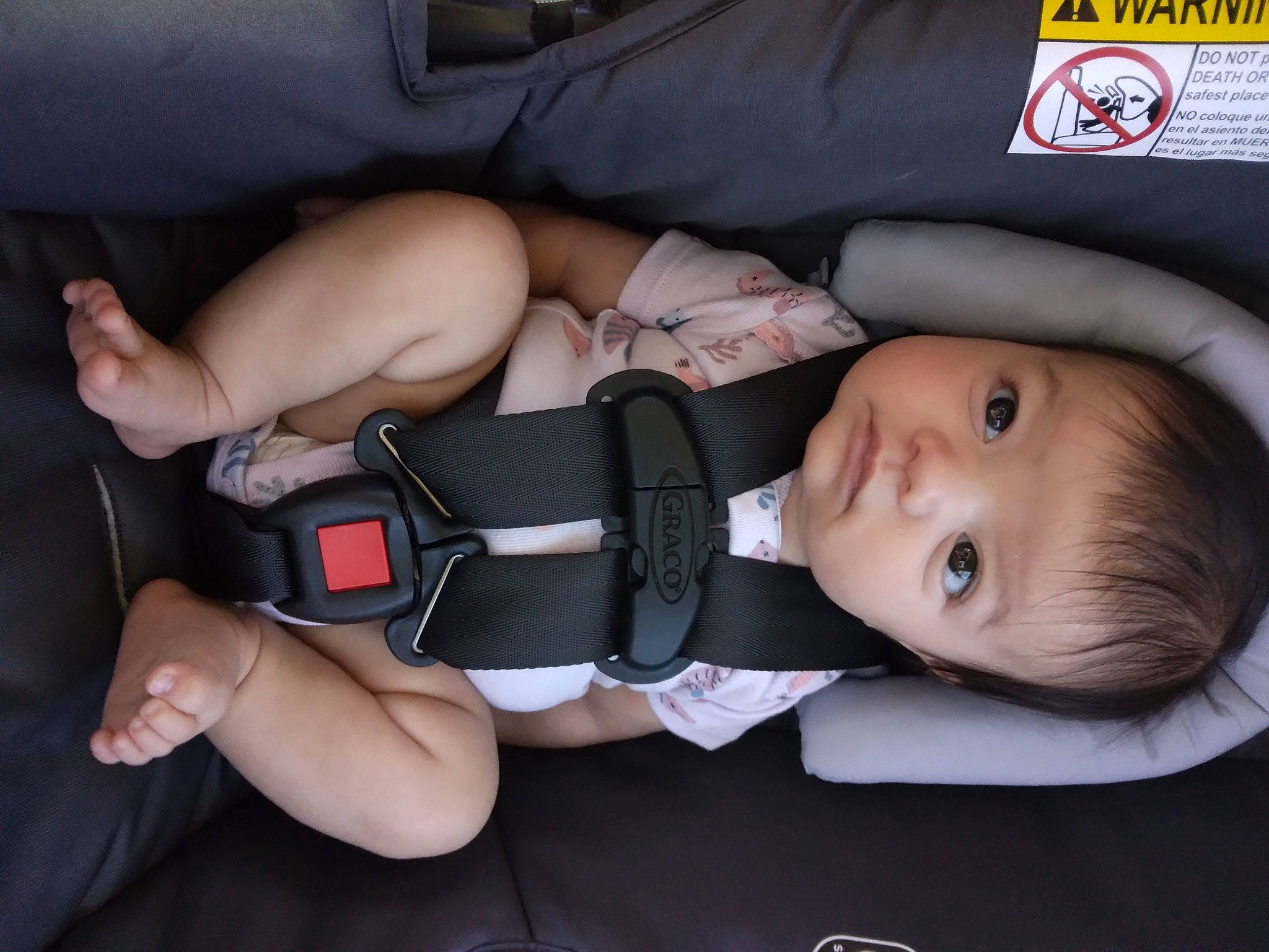 Isabella joined the competition — help win amazing prizes! auto_part, baby, baby_carriage, baby_products, baby_toddler_clothing, car_seat, cheek, child, comfort, face, facial_expression, finger, gesture, hand, nail, person, skin, thigh, thumb, toddler