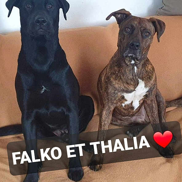 Thalia