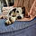 Molly