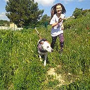 Molly participe au concours pour gagner de l'argent avec cette photo : girl, child, dog, white_dog, outdoor, meadow, grass, wildflowers, sunny, blue_sky, clouds, tree, nature, walking, running, smiling, pet, leash, harness, portrait