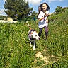 girl, child, dog, white_dog, outdoor, meadow, grass, wildflowers, sunny, blue_sky, clouds, tree, nature, walking, running, smiling, pet, leash, harness, portrait
