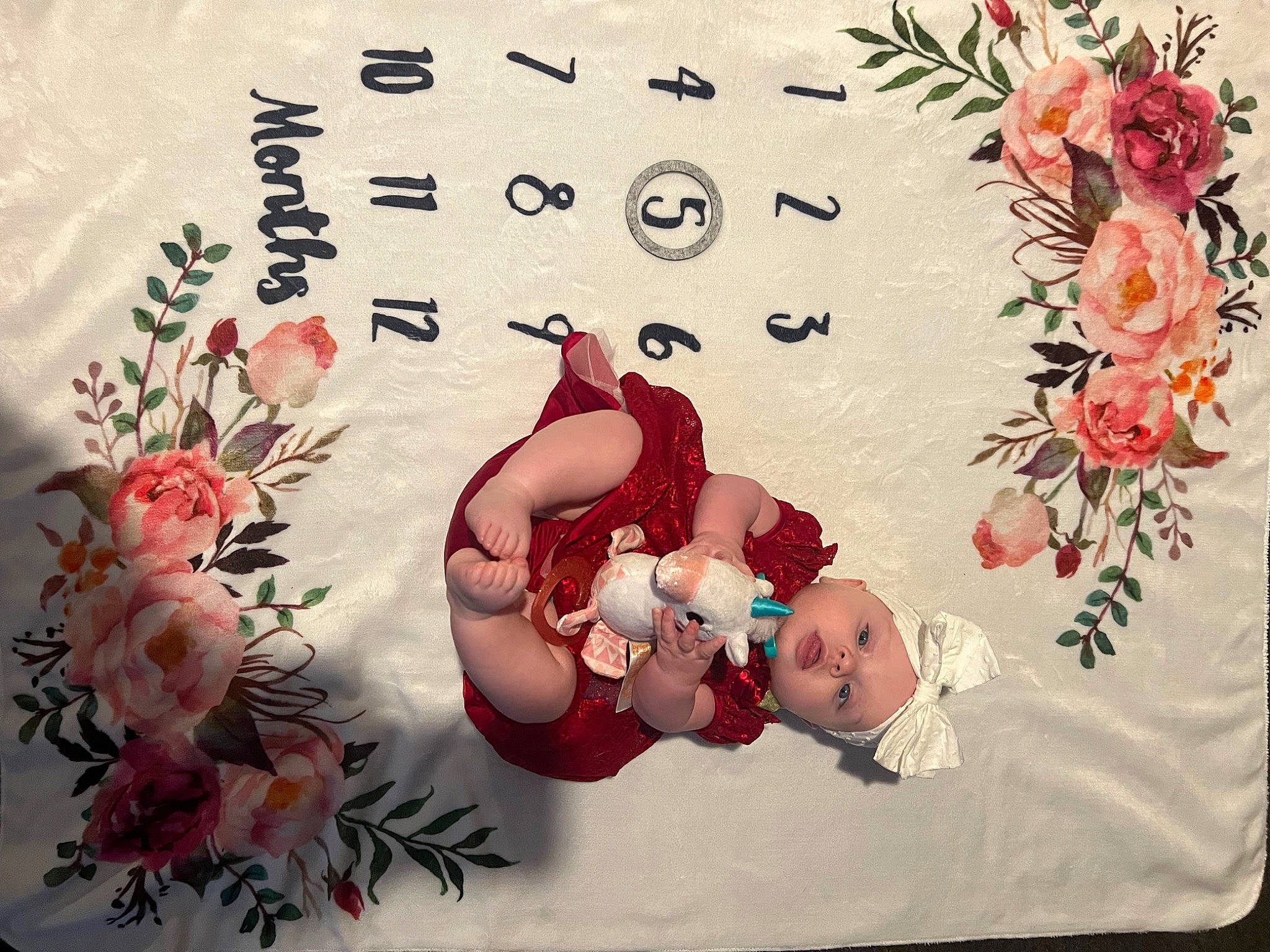 Aurora joined the competition — help win amazing prizes! art, baby, botany, creative_arts, cut_flowers, floral_design, flower, flower_arranging, font, graphics, greeting, greeting_card, happy, illustration, pattern, peach, person, petal, pink, plant