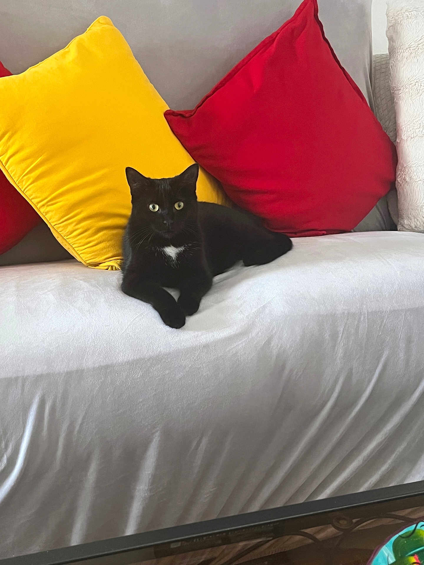 Luna