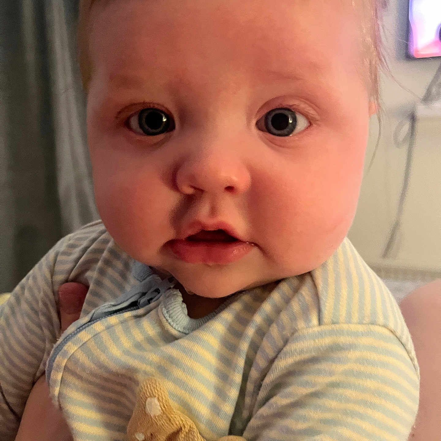 Conor joined the competition — help win amazing prizes! baby, child, chubby_cheeks, cute, expression, eyes, face, hand_holding, head, indoor, infant, looking_at_camera, onesie, person, plush_patch, portrait, skin, soft_lighting, striped_clothing, young_child