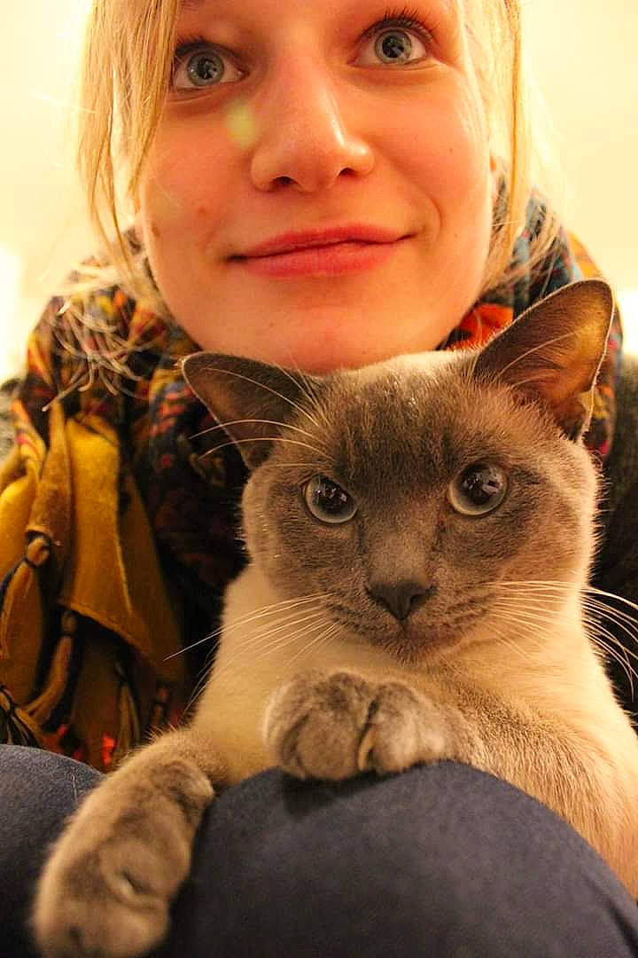 Bernie participe au concours pour gagner de l'argent avec cette photo : asian, cat, cat_like_mammal, ear, eye, face, fur, girl, iris, kitten, mammal, nose, organ, person, skin, small_to_medium_sized_cats, smile, snout, vertebrate, whiskers