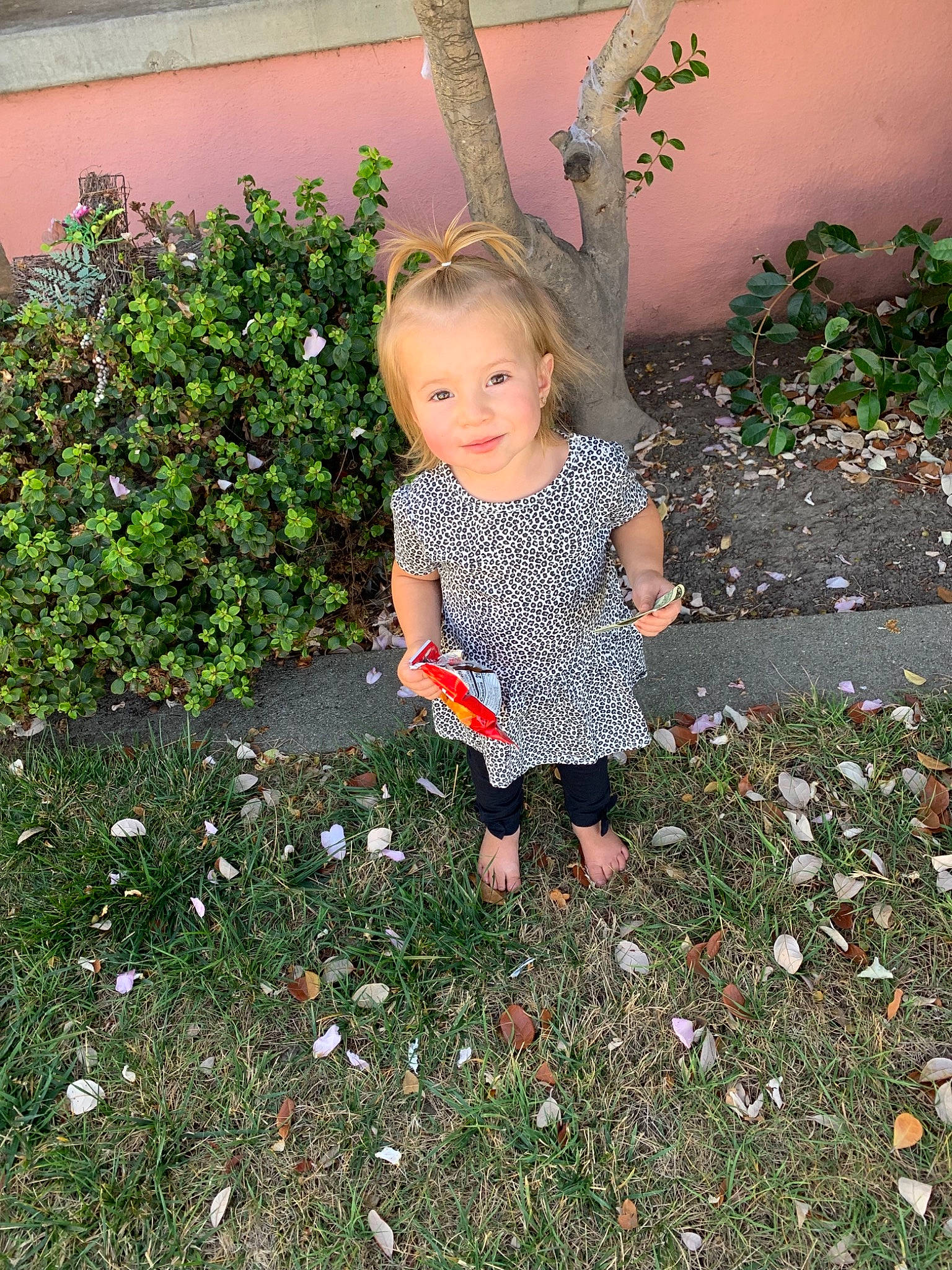 Analise is registered to the contest to win money with this photo: child, fawn, garden, grass, leaf, person, plant, standing, toddler, yard