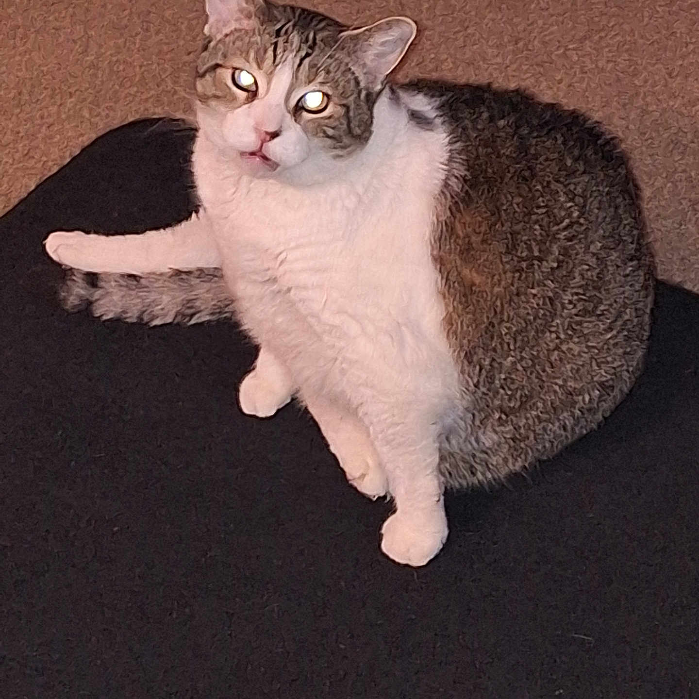 Peanut