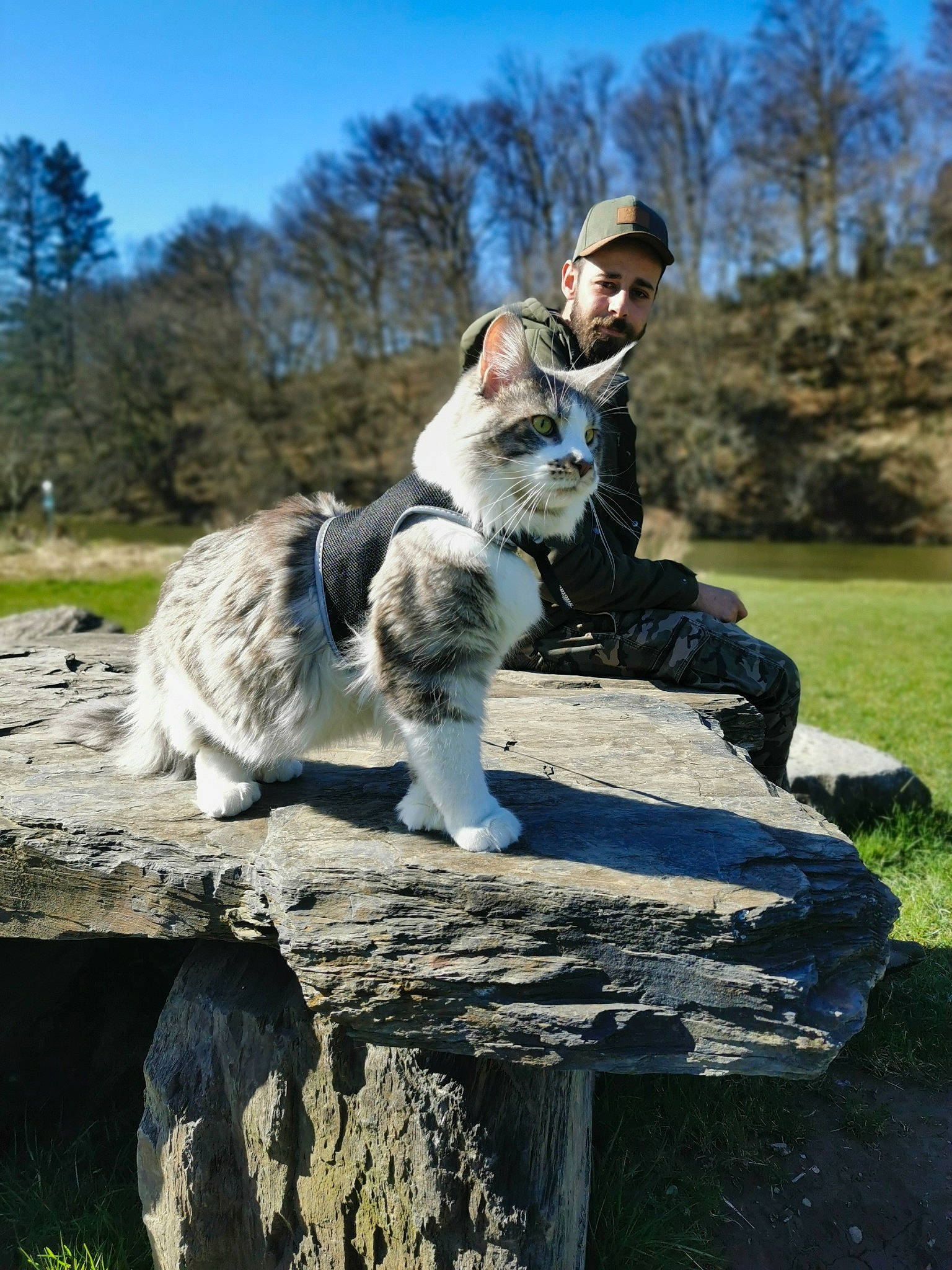 Sacha participe au concours pour gagner de l'argent avec cette photo : carnivore, companion_dog, dog, dog_breed, fawn, felidae, grass, happy, landscape, leisure, people_in_nature, plant, recreation, sitting, sky, sporting_group, tail, tree, trunk, wood
