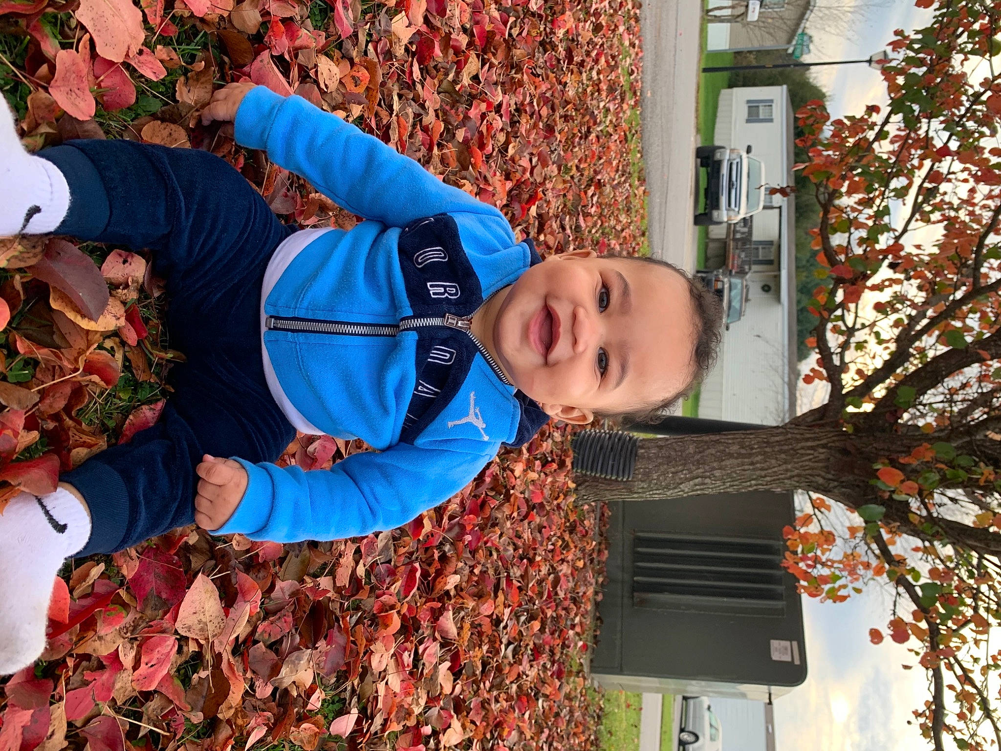 Javon is registered to the contest to win money with this photo: autumn, child, joy, leaf, person, plant, tree
