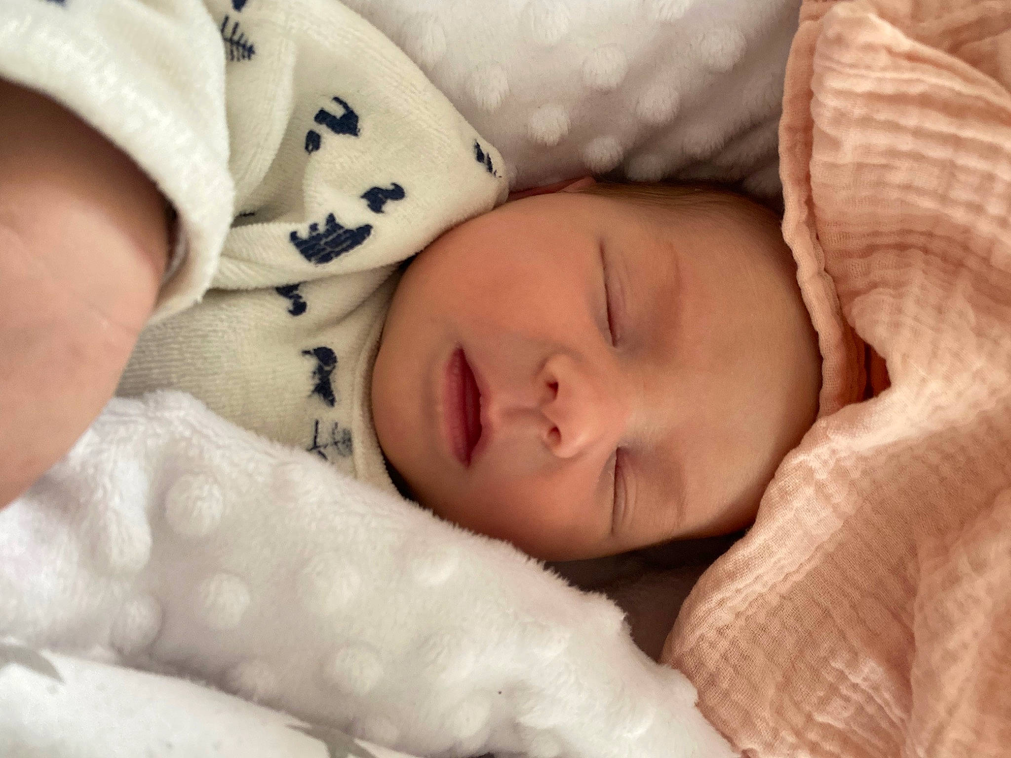 Charlie a rejoint le concours — aidez-le/la à gagner de superbes lots ! baby, baby_sleeping, baby_toddler_clothing, bedtime, child, comfort, eyelash, fur, headwear, linens, nap, no_expression, pattern, person, portrait_photography, skin, sleep, toddler