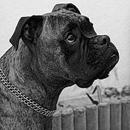 Bouba a rejoint le concours — aidez-le/la à gagner de superbes lots !