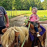 Lorraine is registered to the contest to win money with this photo: child, toddler, pony, horse, outdoor, fence, greenery, sunny, daytime, smiling, pink_clothing, saddle, person, hand, animal, nature, grass, trees, support, happy