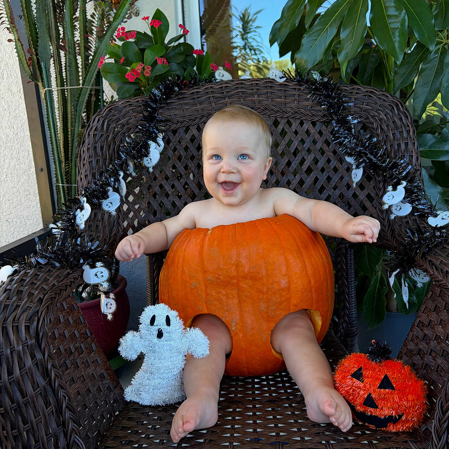 Cameron is registered to the contest to win money with this photo: baby, pumpkin, halloween, wicker_chair, ghost_decoration, jack_o_lantern, plants, greenery, smiling, happy, holiday, costume, decoration, cute, festive, autumn, child, outdoor, seat, holiday_spirit