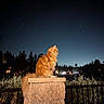 Sunny joined the competition — help win amazing prizes! animal, calm, cat, fence, nature, night, orange_cat, outdoor, peaceful, pet, pillar, plants, quiet, residential_area, silhouette, sky, starry_sky, stars, stone, trees