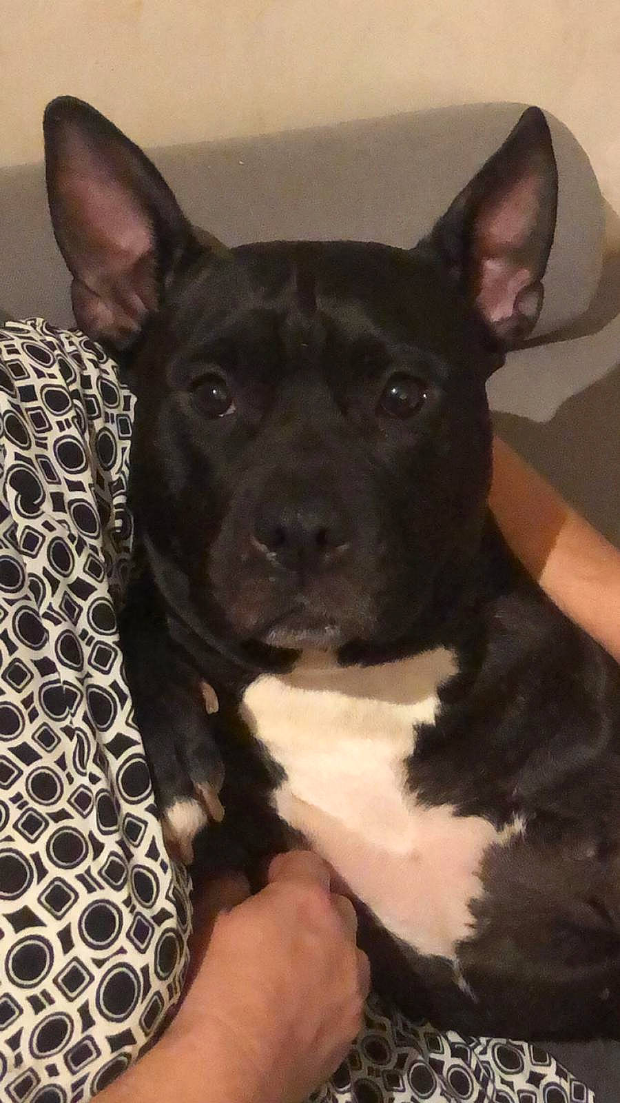 Mayka