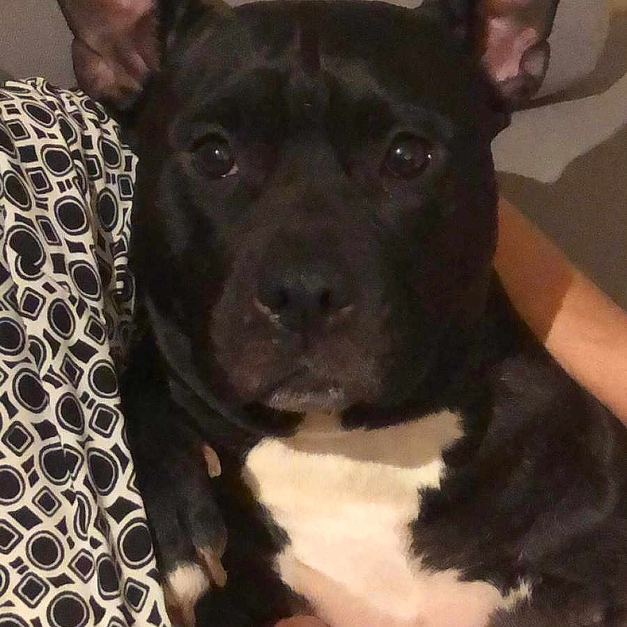 Mayka