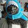 cat, pet, costume, shark_costume, blue_costume, yellow_eyes, gray_fur, whiskers, closeup, portrait, indoor, shelf, pillow, plush, person, shoulder, paw, fabric, hat, cute
