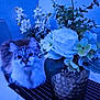 cat, flower, vase, table, plant, indoor, striped_mat, curious, fluffy, white_flower, green_leaf, decor, pet, feline, close_up, soft_light, blue_tone, domestic_animal, still_life, home