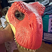 Bruno is registered to the contest to win money with this photo: dog, dinosaur_mask, red_mask, pet, costume, eye, hand, indoor, cluttered_background, toy, animal, face_covering, closeup, texture, scales, mouth, teeth, floor, person_hand, funny