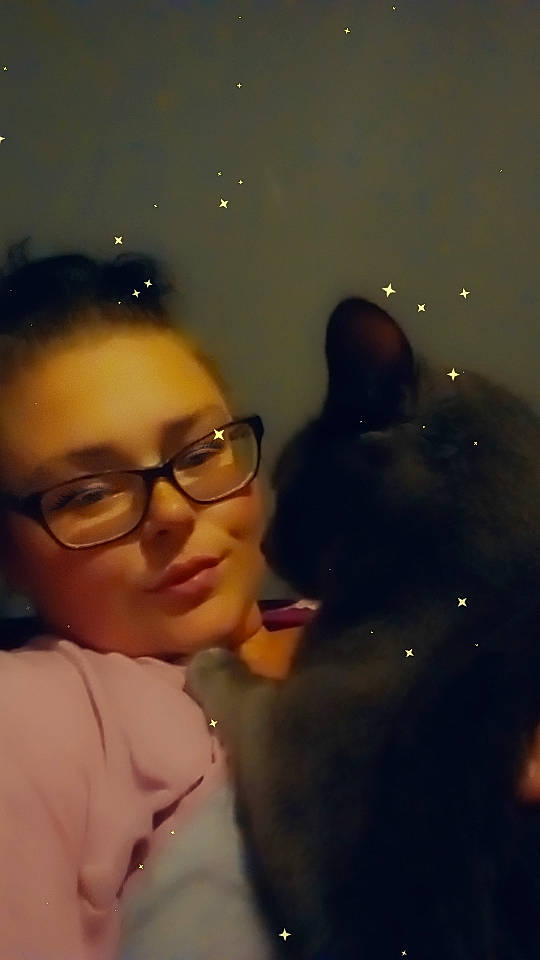 Stormy joined the competition — help win amazing prizes! black_hair, cool, darkness, ear, eyebrow, eyewear, felidae, fun, glasses, happy, lens_flare, midnight, mouth, nose, reflection, room, selfie, small_to_medium_sized_cats, vision_care, whiskers