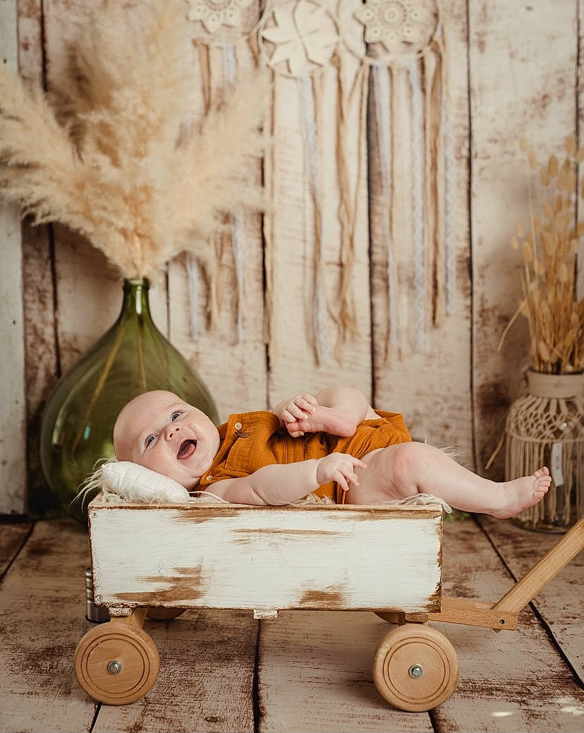 Auguste participe au concours pour gagner de l'argent avec cette photo : art, bench, brown_hair, chair, child, classic, comfort, curtain, fawn, interior_design, leisure, outdoor_furniture, painting, person, plant, room, sitting, toy, tree, vintage_clothing