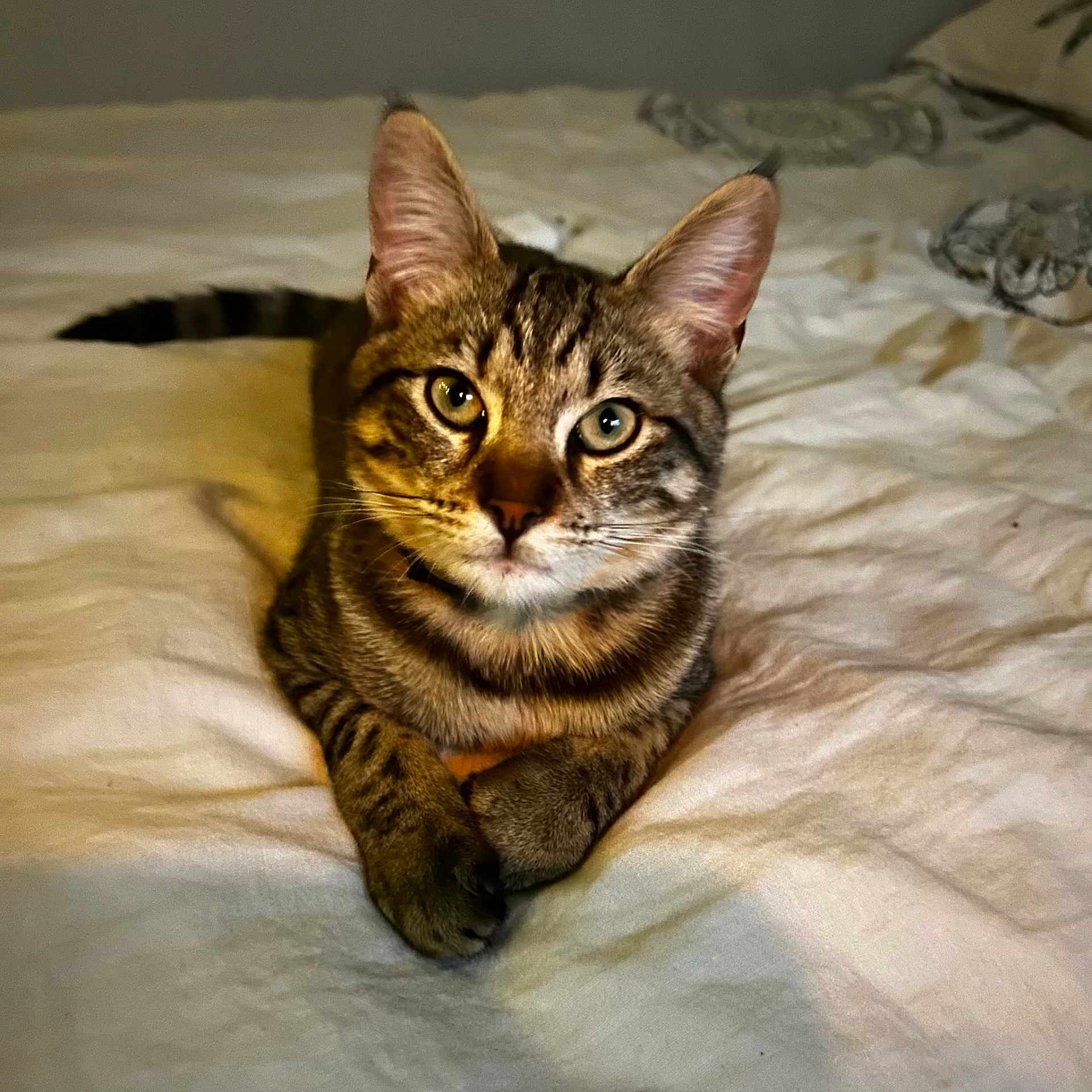 Prince