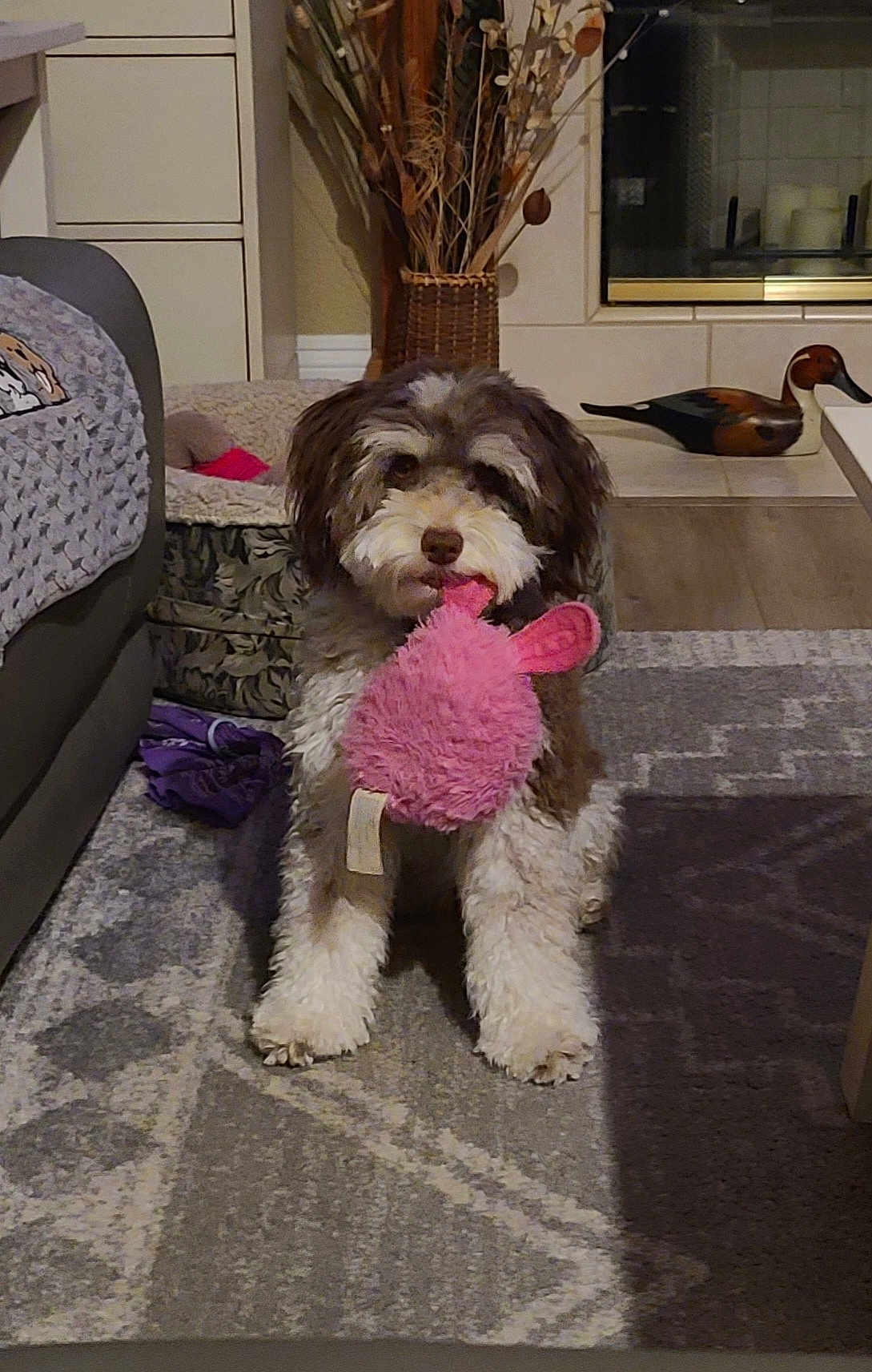 Remi
