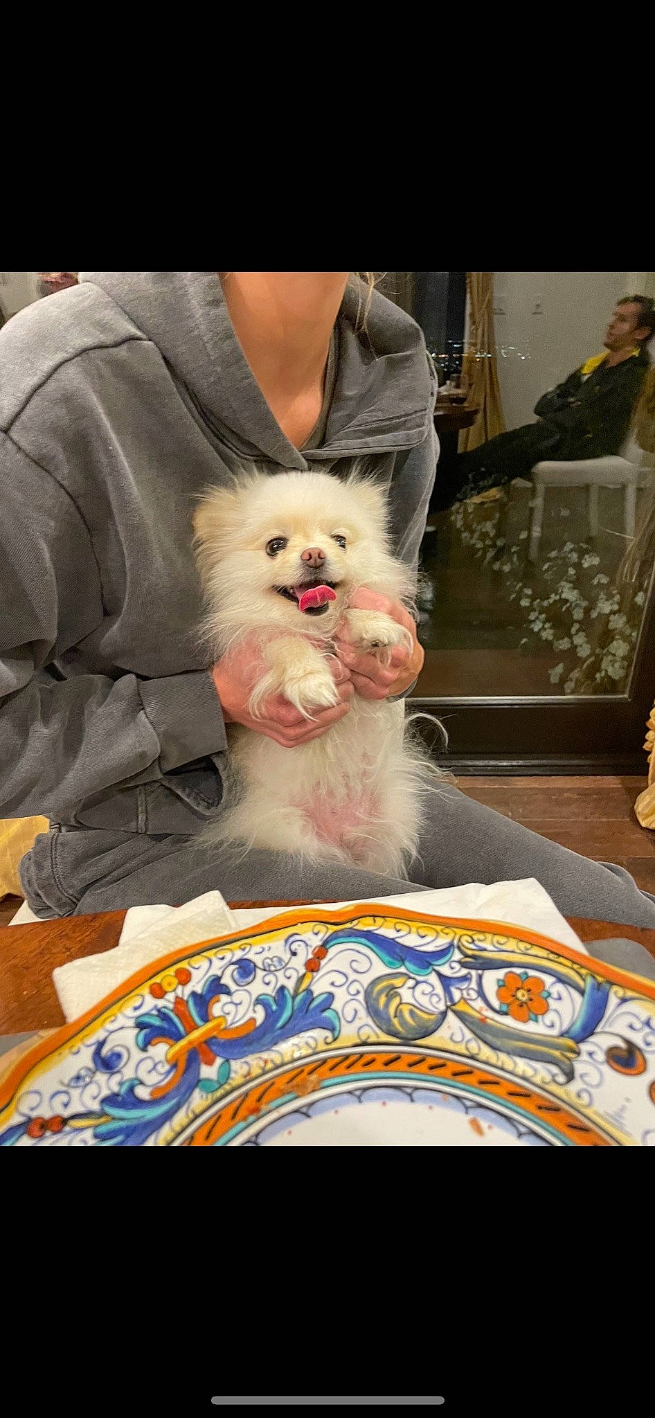 Bougie is registered to the contest to win money with this photo: canidae, carnivore, chair, companion_dog, corgi_chihuahua, dog, dog_breed, dog_clothes, dog_supply, event, eyewear, fawn, fur, linens, outerwear, pomeranian, sitting, spitz, sporting_group, toy_dog