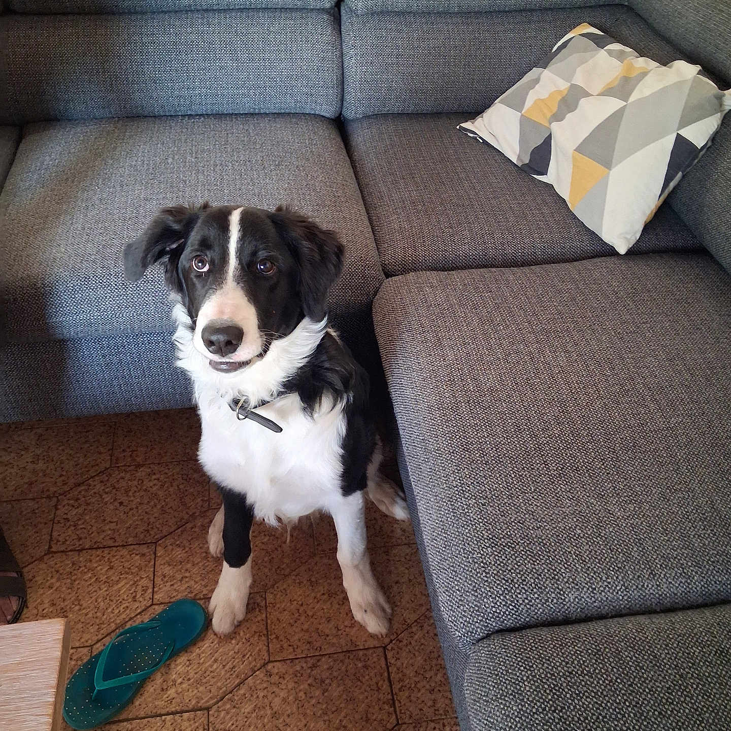 Balou