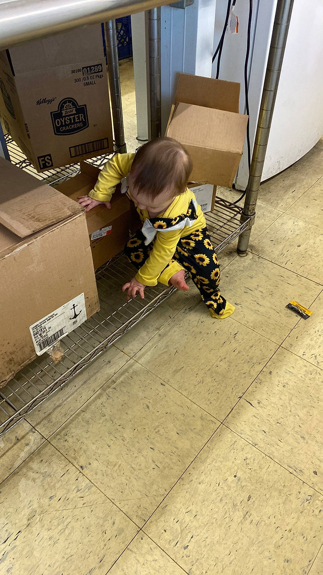 Jayden joined the competition — help win amazing prizes! asphalt, baby, box, carton, chair, child, concrete, floor, flooring, hardwood, human_leg, metal, packaging_and_labeling, pattern, person, road_surface, shipping_box, sidewalk, tints_and_shades, toddler