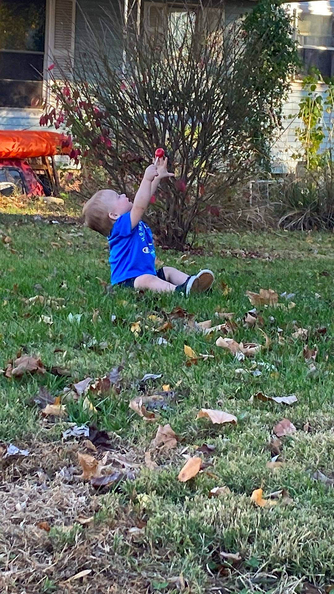 Jayden is registered to the contest to win money with this photo: deciduous, fun, garden, grass, grass_family, grassland, groundcover, landscape, lawn, leisure, people_in_nature, person, plant, play, recreation, shrub, sitting, soil, toddler, tree