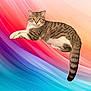 cat, tabby, animal, pet, feline, striped, fur, whiskers, tail, ears, eyes, portrait, colorful_background, abstract, digital_art, vibrant, relaxed, lying_down, indoor, studio