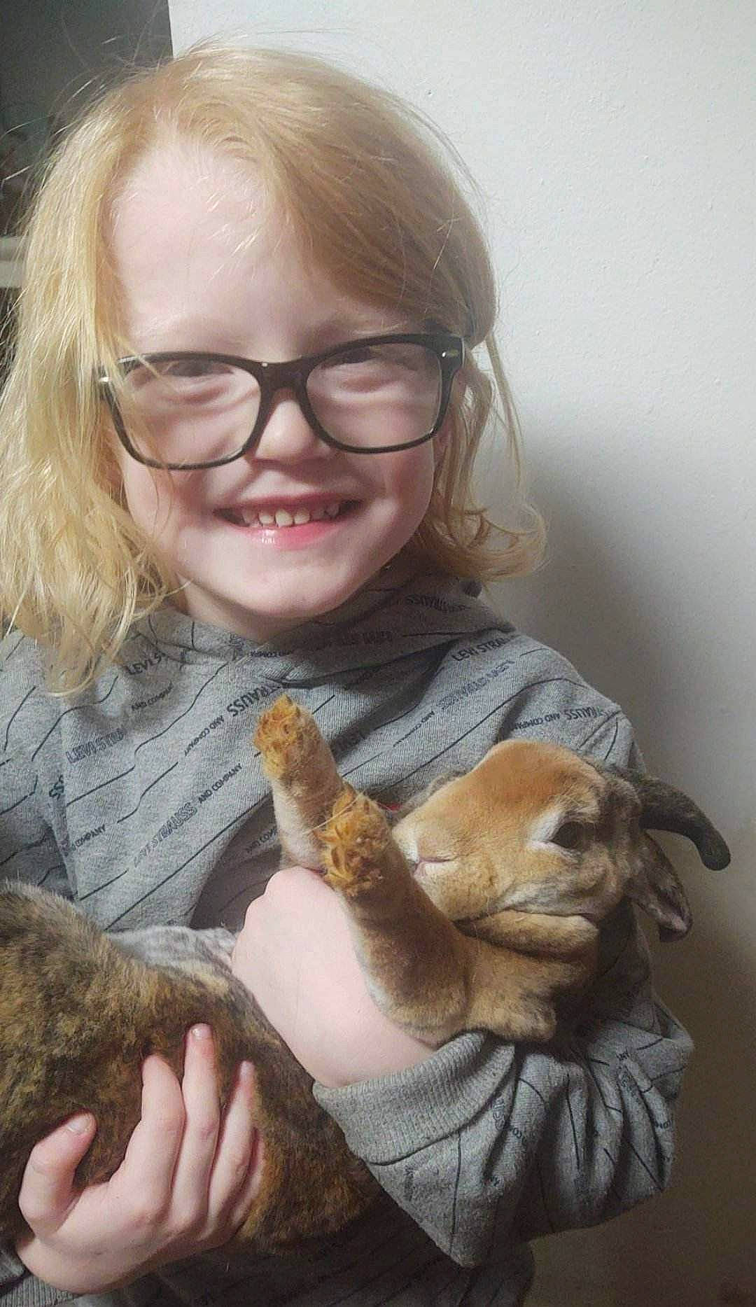 Emmett joined the competition — help win amazing prizes! child, comfort, companion_dog, ear, eyewear, fawn, felidae, finger, fur, gesture, glasses, hand, joy, mammal, person, skin, small_to_medium_sized_cats, smile, stuffed_toy, toy