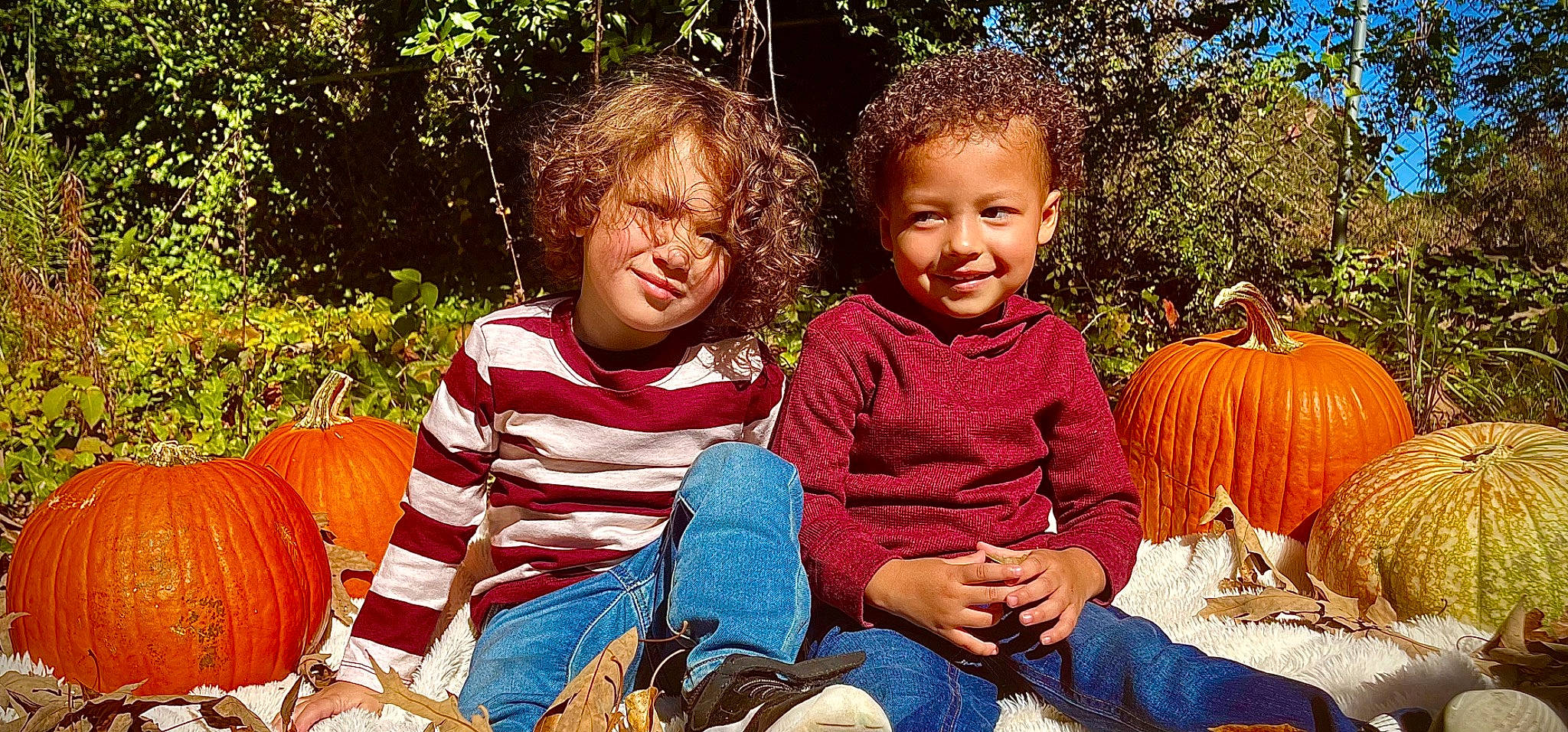 Adrian joined the competition — help win amazing prizes! adaptation, calabaza, child, cucurbita, event, facial_expression, fun, grass, happy, jeans, joy, leisure, people_in_nature, person, plant, pumpkin, recreation, sharing, smile, toddler