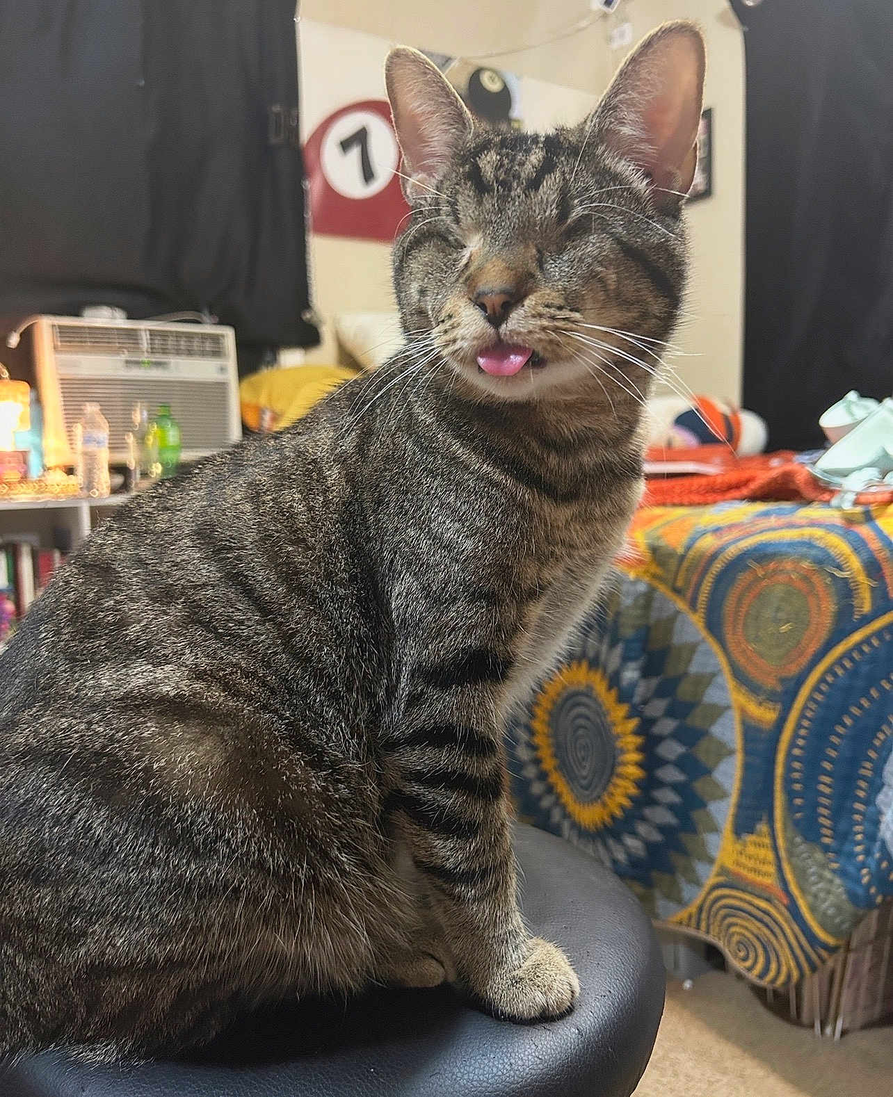 Patches joined the competition — help win amazing prizes! cat, tabby, tongue_out, pet, indoor, stool, furniture, striped_fur, animal, whiskers, ears, cozy_room, bedspread, air_conditioner, household_items, playful, cute, feline, domestic_cat, portrait
