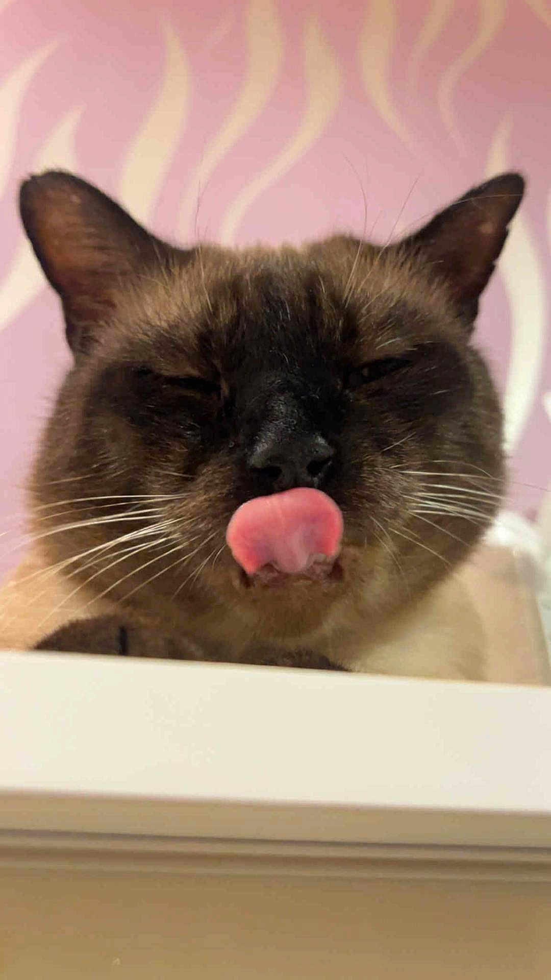Milo