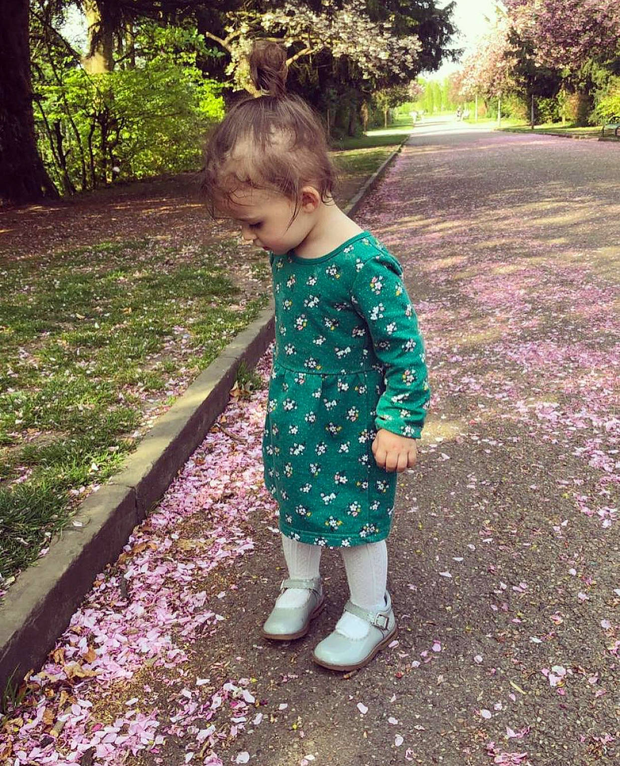 Isla-rose joined the competition — help win amazing prizes! child, design, dress, grass, green, leaf, outerwear, pattern, person, plant, play, shoe, smile, spring, standing, summer, t_shirt, toddler, tree, walking
