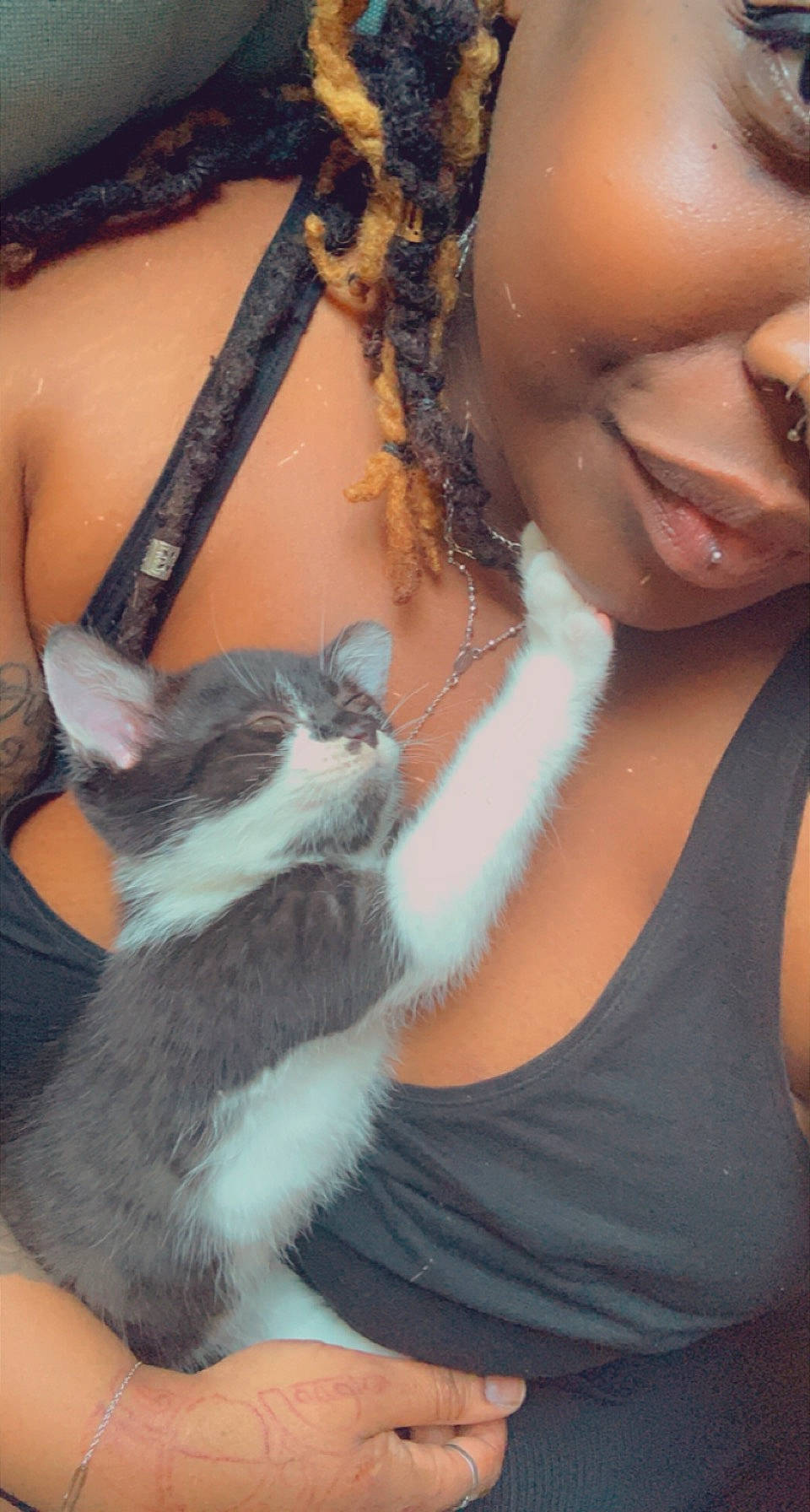 Litchi a rejoint le concours — aidez-le/la à gagner de superbes lots ! black_hair, brown_hair, carnivore, cat, chest, earrings, eyelash, eyewear, fawn, felidae, finger, fur, gesture, hand, happy, jewellery, long_hair, small_to_medium_sized_cats, smile, trunk