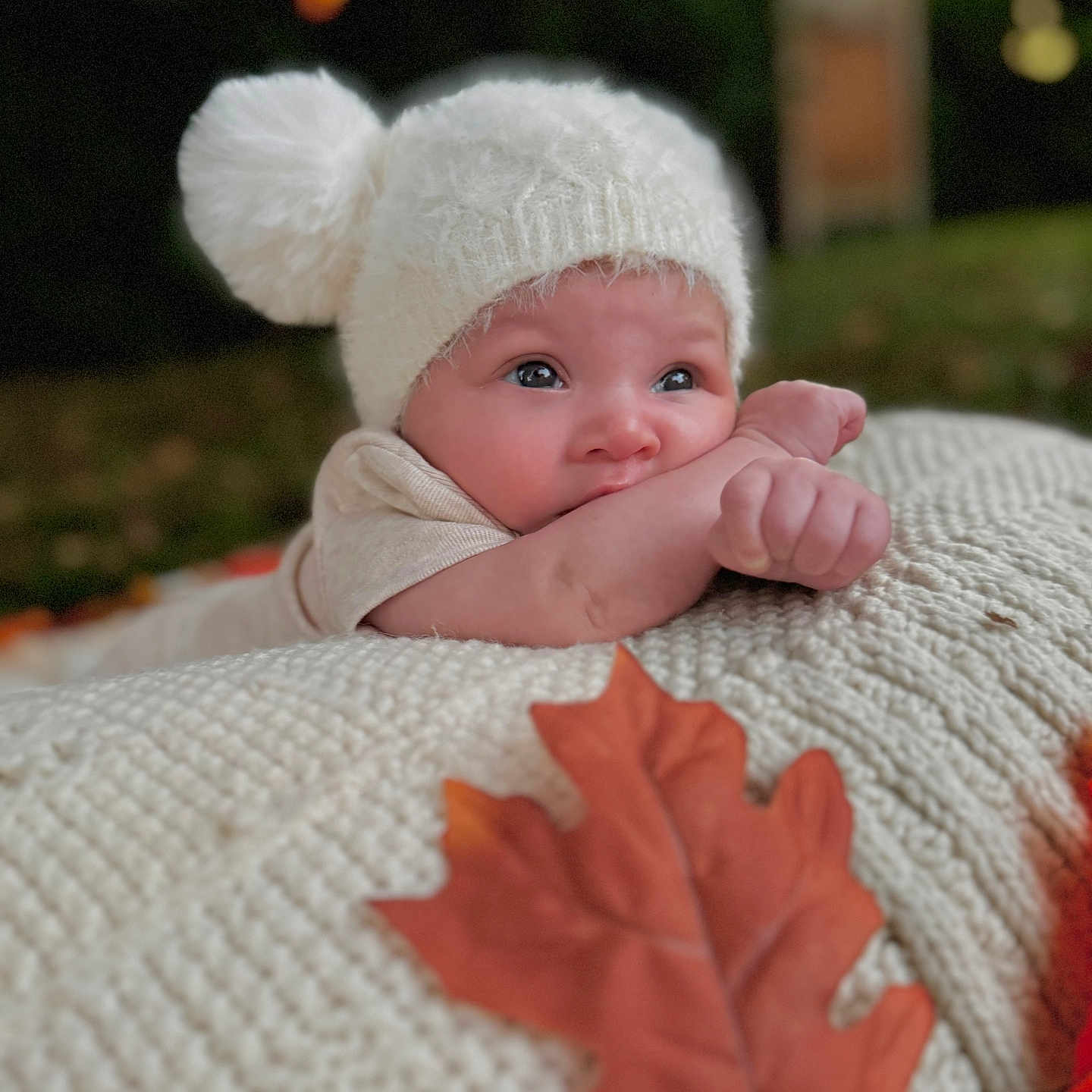 Calida joined the competition — help win amazing prizes! autumn, baby, blanket, child, close_up, cute, fall, hat, infant, knit_blanket, knit_hat, leaf, nature, orange_leaf, outdoor, pom_pom, portrait, resting, soft, warm