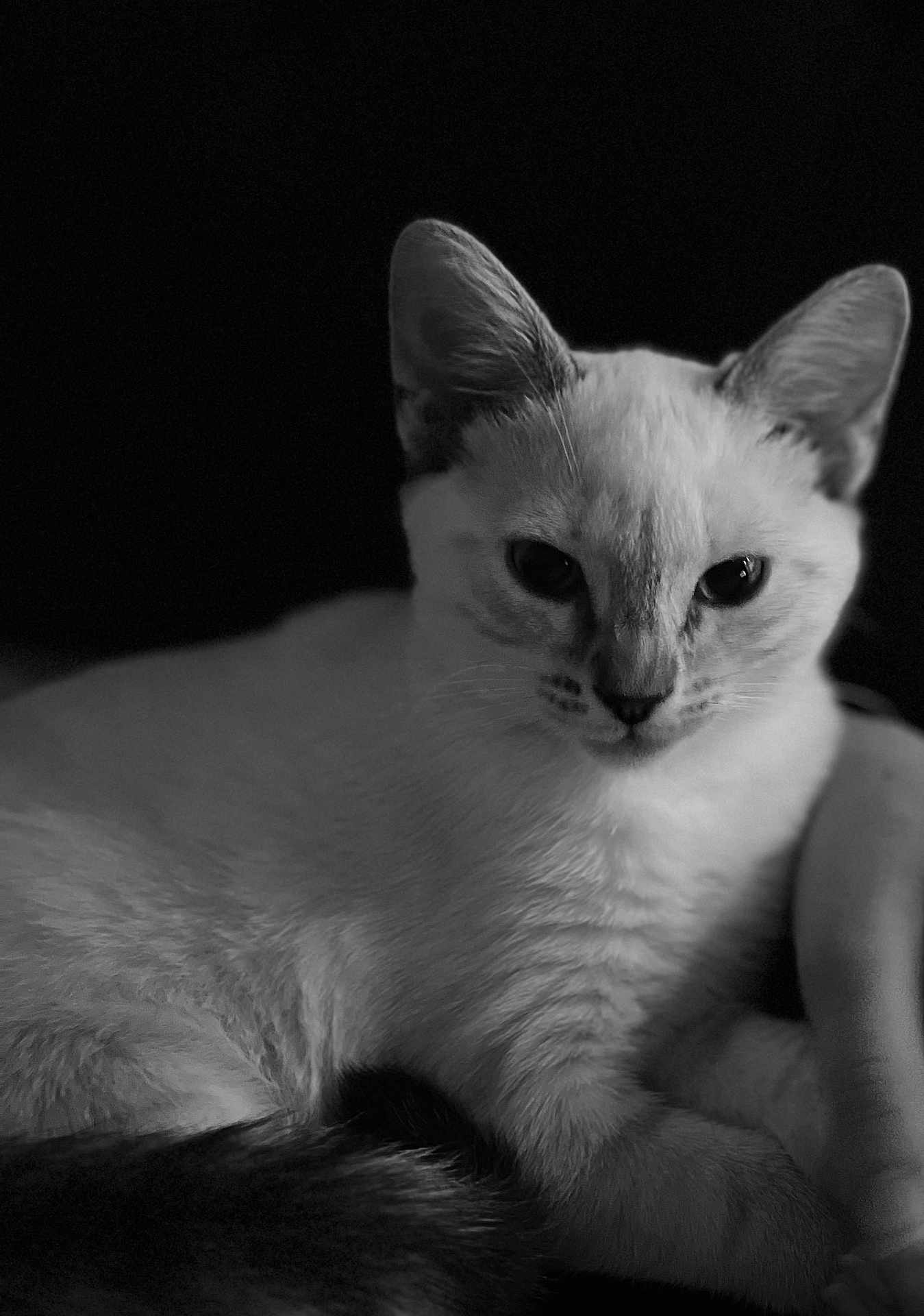 Sally