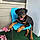 Millie