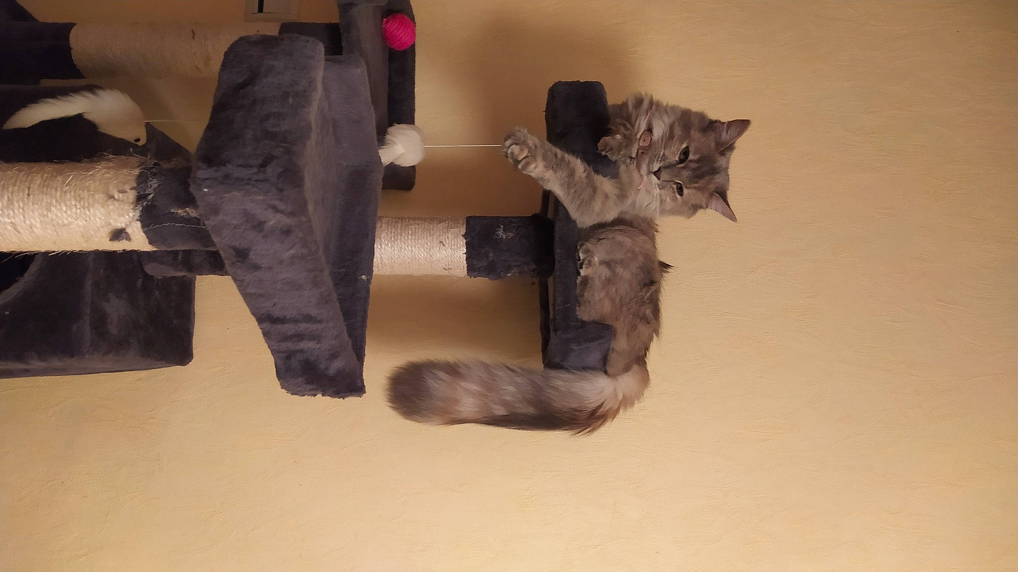 Dinah participe au concours pour gagner de l'argent avec cette photo : art, auto_part, automotive_tire, bumper, gas, hardwood, metal, paper, tread, visual_arts, wood